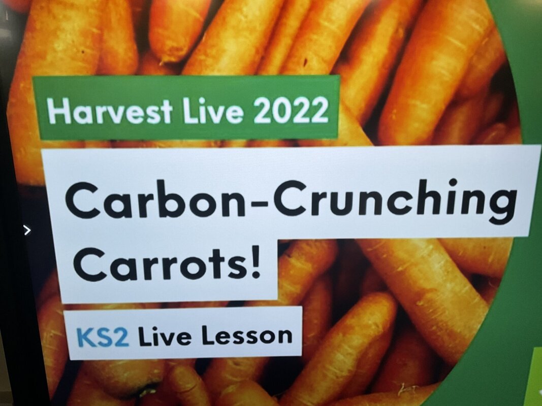 Image of Live Lesson - Carbon Crunching Carrots