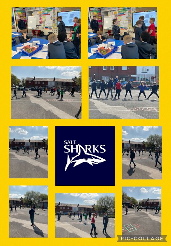 Image of Sale Sharks - again!