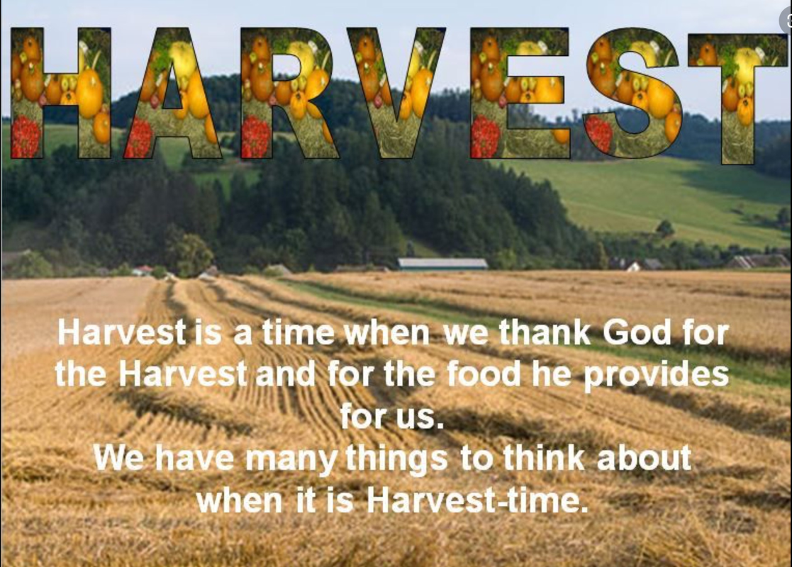Image of Harvest Worship