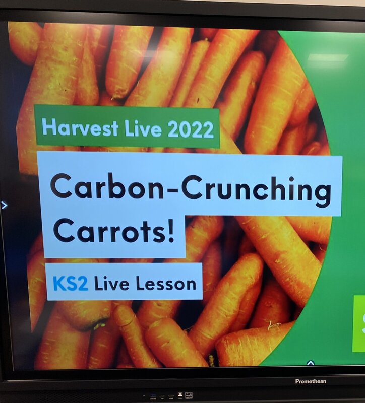Image of Harvest Live Lesson