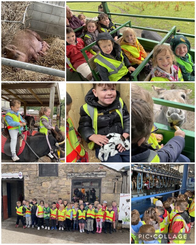 Image of Our Class Trip to Smithills Open Farm 
