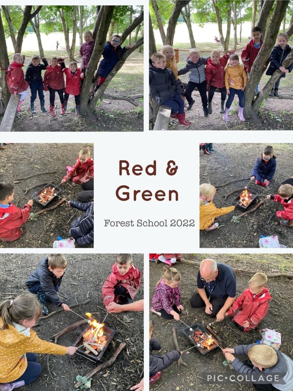 Image of Forest School Campfire