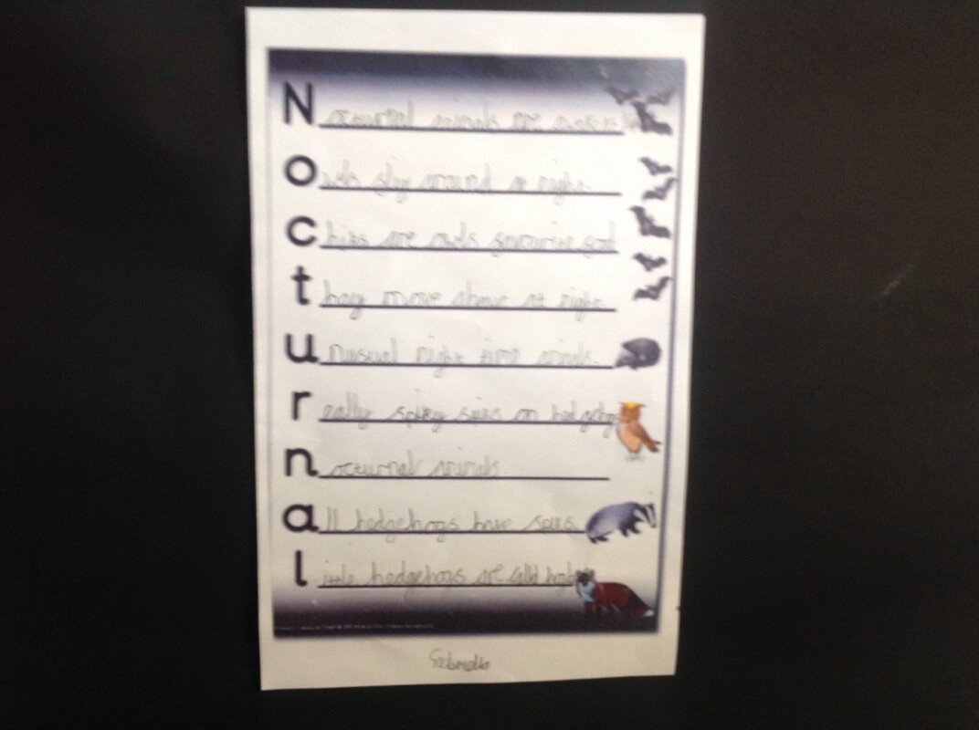 Image of Nocturnal Acrostic Poems