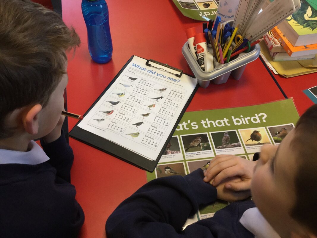 Image of RSPB Big Schools' Birdwatch
