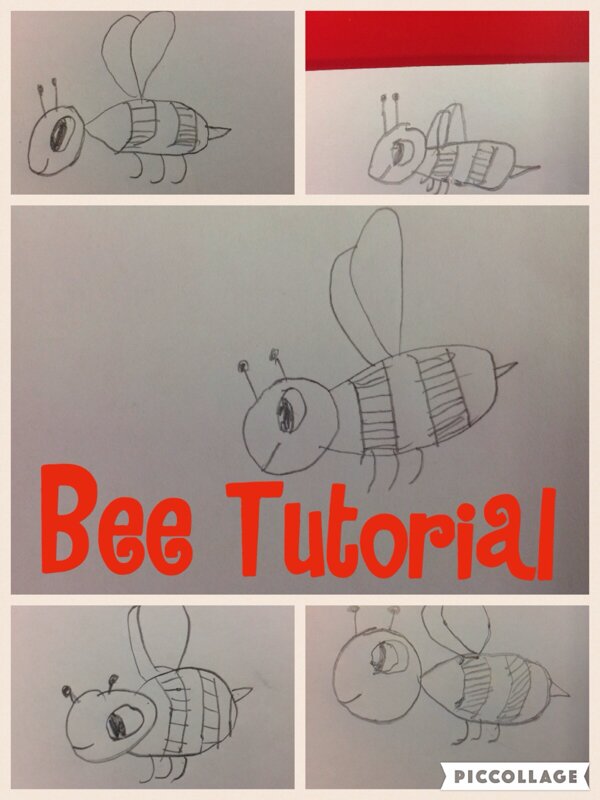 Image of Busy Bee drawing tutorial