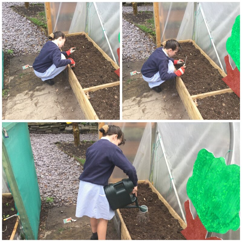Image of Planting For Y6