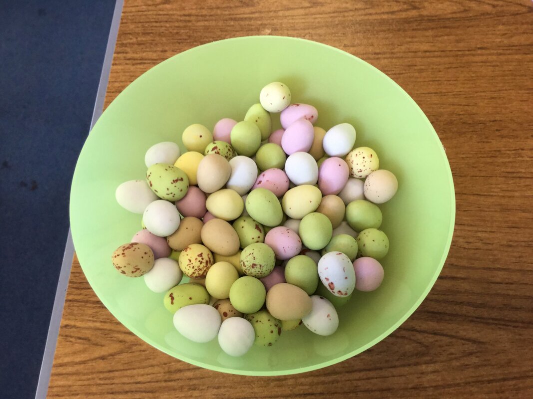 Image of Estimating eggs!