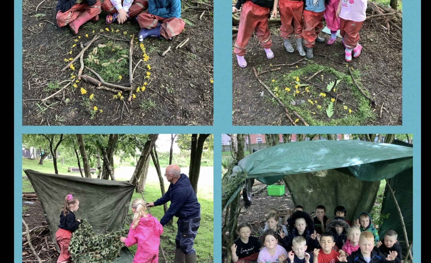 Image of Forest Schools