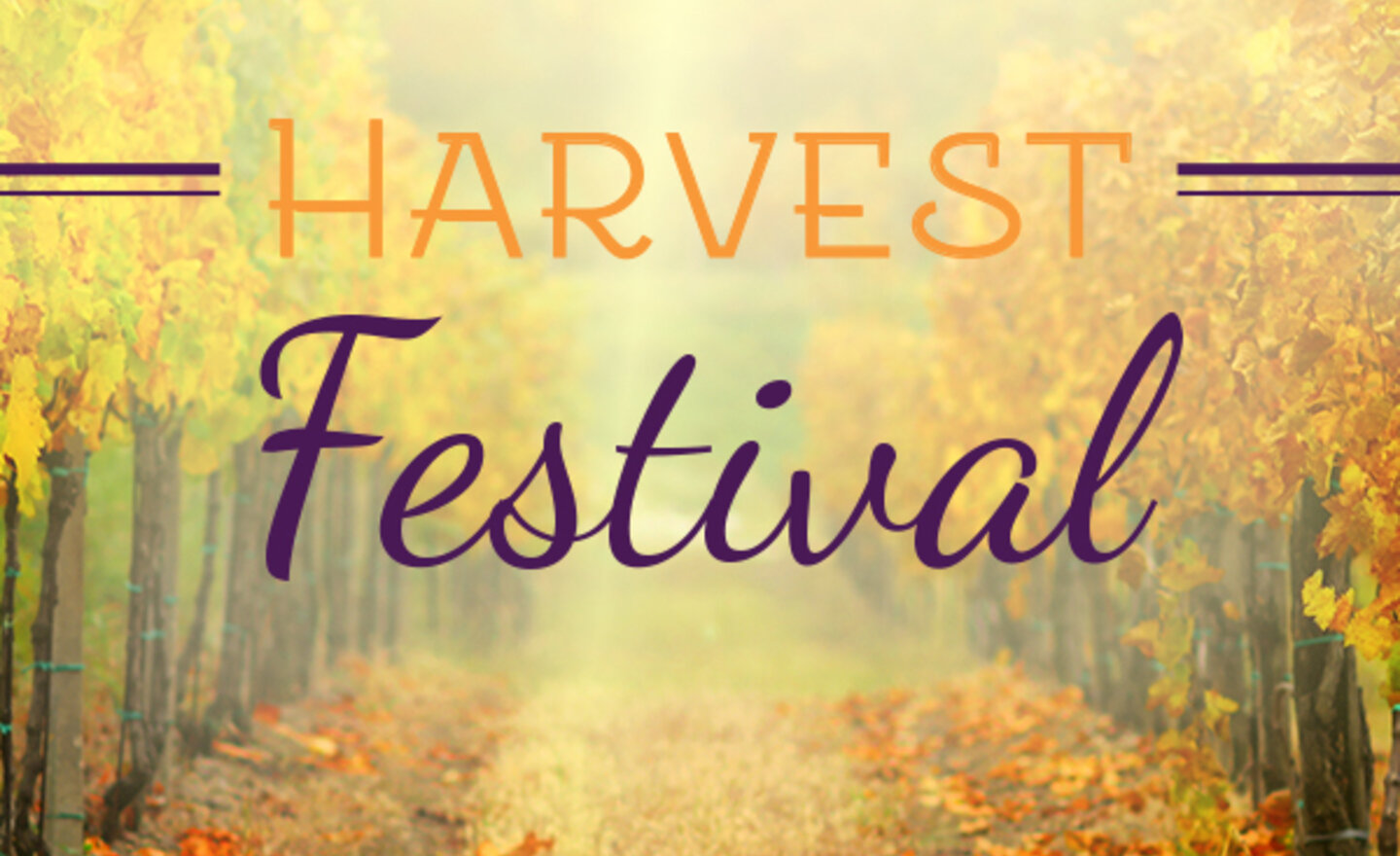 Image of Harvest festival contributions