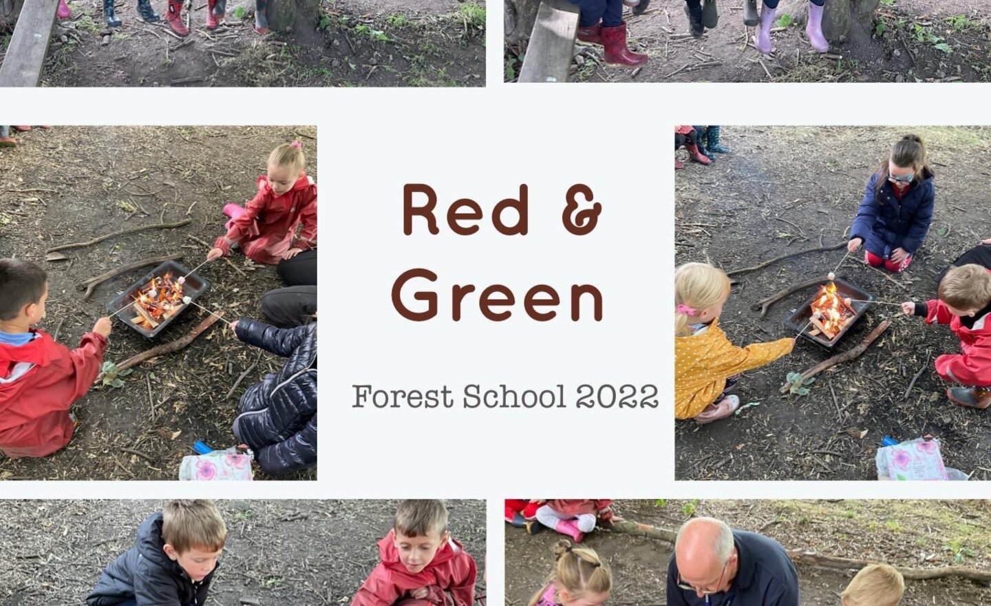 Image of Forest School Campfire