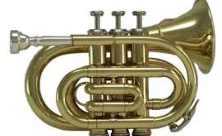 Image of Brass Concert